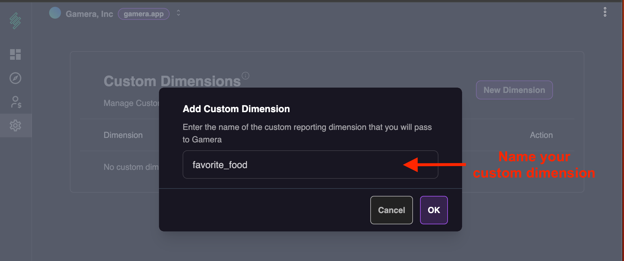 Name Custom Dimensions